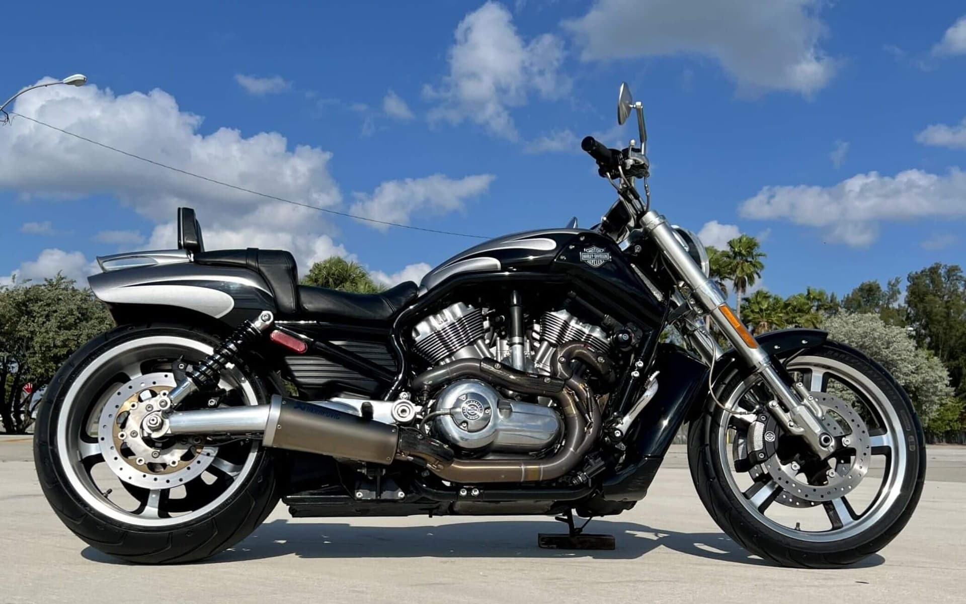 harely-davidson-v-rod-muscle-for-rent